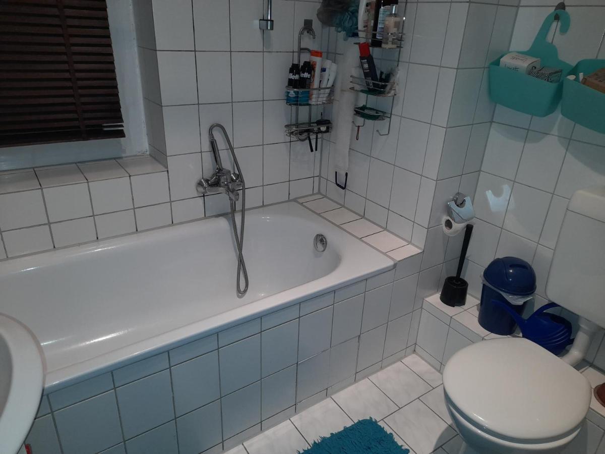 Homestay Gemutliches In Stadtwohnung Dresden